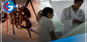 Conozca ¿Qué es el Dengue? 