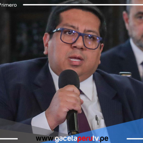 MEF: Hoy 19 de mayo se presentarán medidas del  Plan Con Punche Perú 2