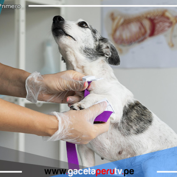 Inauguran veterinaria solidaria en Comas con tarifa social