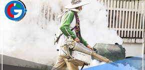 ¡Alerta!: se confirman 354 casos de dengue en Tumbes 