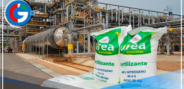 Piura: La primera planta de fertilizantes y que dará más de 10.000 puestos de trabajo