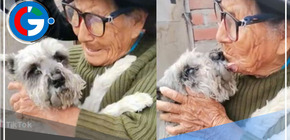 ¡Reencuentro de película! Abuelita de 103 años encontró a Raylu, su perrito perdido hace más de 2 semanas en Ate