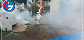 Fumigan la ORM y 3 colegios de Comas en la lucha contra el dengue 