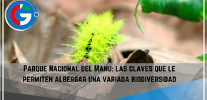 Parque Nacional del Manu: las claves que le permiten albergar una variada biodiversidad.