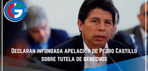 Declaran infundada apelación de Pedro Castillo sobre tutela de derechos