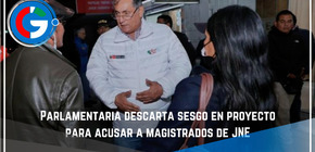 Parlamentaria descarta sesgo en proyecto para acusar a magistrados de JNE