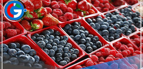 Mincetur: Exportación de envíos de berries peruanos