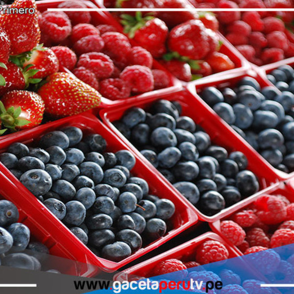 Mincetur: Exportación de envíos de berries peruanos