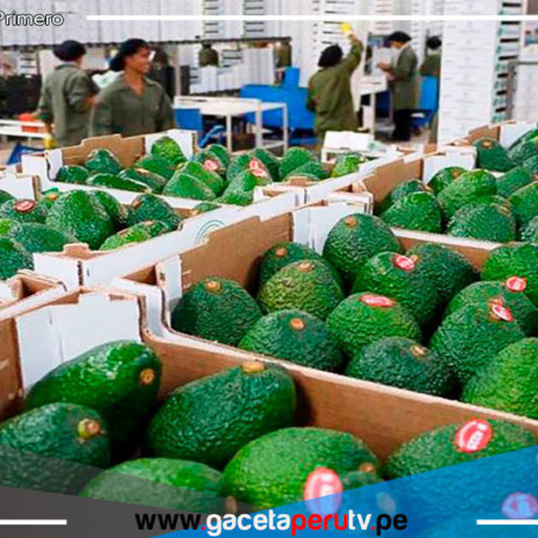 BCRP: Exportaciones agropecuarias crecieron el 7% en el abril 