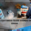 Establecen fumigar 150,000 viviendas en una semana.