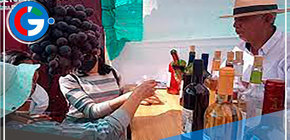 Ica: Feria de Uvas y Huarangos en diversas partes de las regiones del Perú