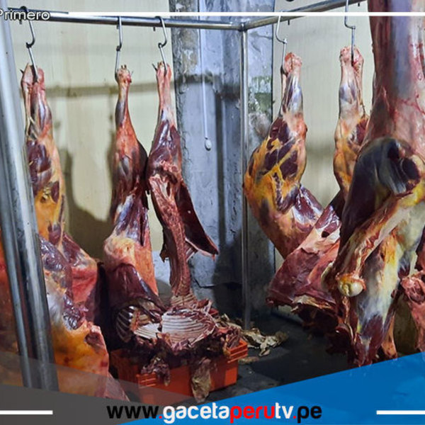 Ate: Local vendía carne de caballo haciéndolo pasar por carne de res de primera