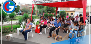 En Ate alistan campaña veterinaria municipal por 39 Aniversario de Huaycán