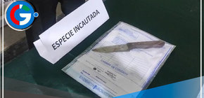 Menor de 17 años apuñala mortalmente a mujer que cobraba renta en Comas