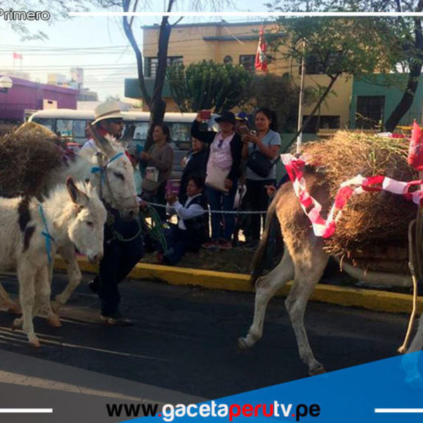 Arequipeños vuelven a disfrutar de la tradicional entrada de ccapo