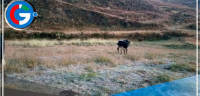 Descenso de Temperatura en Áncash Causa 22 Afectados por Infecciones Respiratorias y Daño a Cultivos