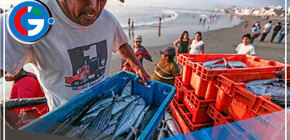 Oficializan pensión mínima de S/ 360 para pescadores 