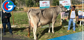 Mayor productividad en sector ganadero reduce emisiones de efecto invernadero