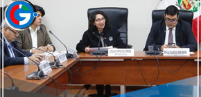 Nuevo proyecto de ley permitirá acceso de libros a personas vulnerables