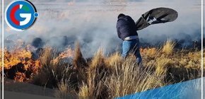 Incendio forestal deja al menos un muerto y quince ovejas calcinadas