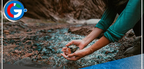El premio Ig nobel se lo lleva un estudio español sobre la marejadilla 
