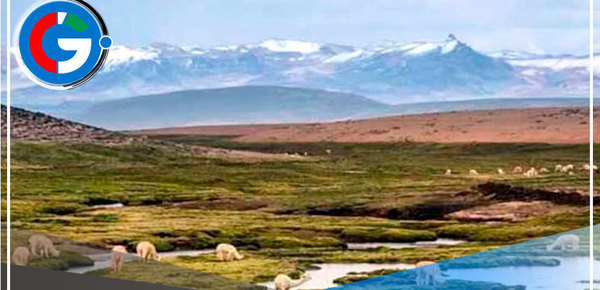 Diversas regiones del país recibirán 5 mil kits para protección y uso sostenible de bofedales