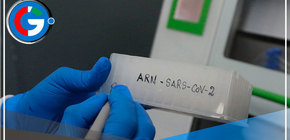 Distritos de Lima en los que se detectaron los 11 casos de variante “Eris” 