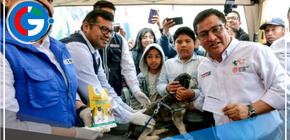 Se garantizará que se cumpla en el país la ley 4 patas