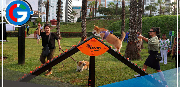 Miraflores presenta 10 caniles para los amigos de cuatro patas