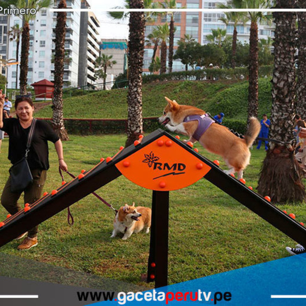 Miraflores presenta 10 caniles para los amigos de cuatro patas