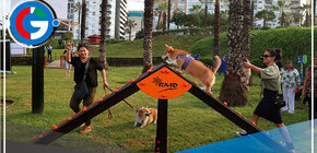 Miraflores presenta 10 caniles para los amigos de cuatro patas