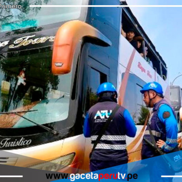 Iniciarán procedimiento para inhabilitar a los buses panorámicos modificados 
