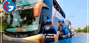 Iniciarán procedimiento para inhabilitar a los buses panorámicos modificados 