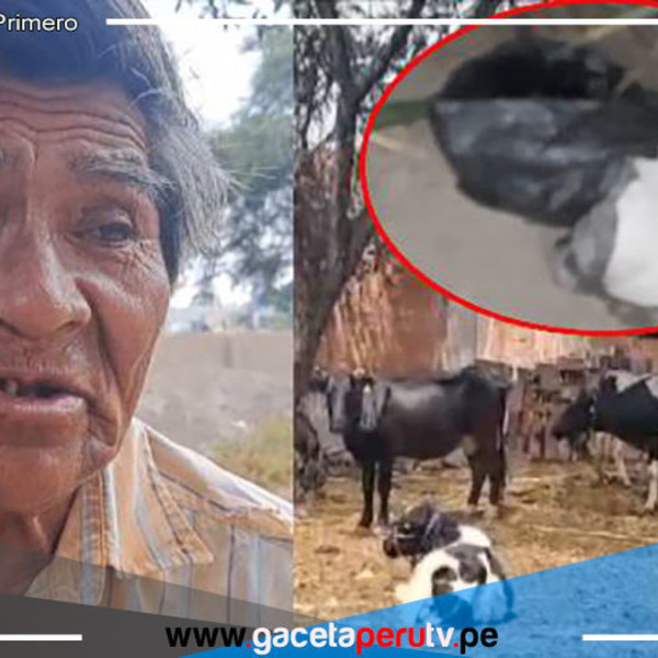 Foto: Latina
