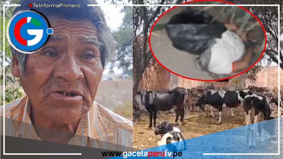 Foto: Latina