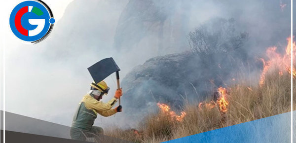 "Guardaparques son el baluarte de la conservación de nuestra biodiversidad" 