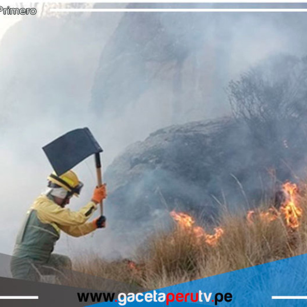 "Guardaparques son el baluarte de la conservación de nuestra biodiversidad" 