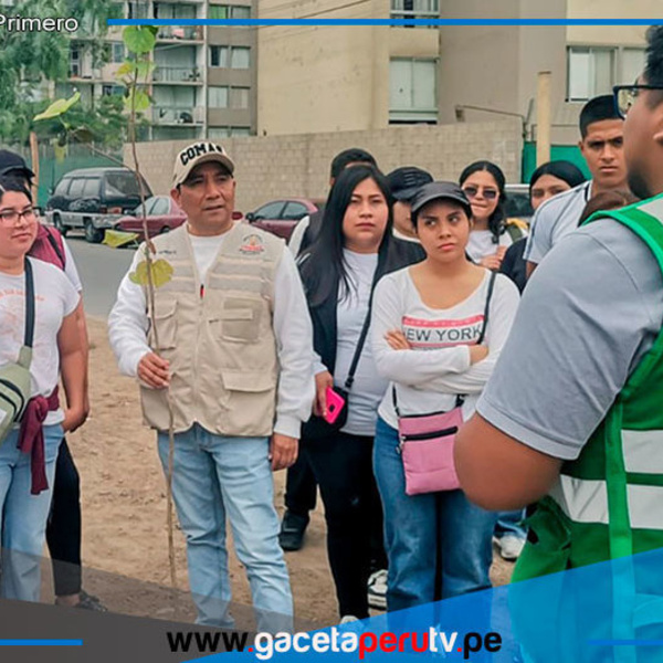 Jóvenes voluntarios impulsan siembra de plantones en avenidas en Comas