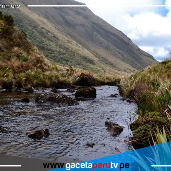 Los páramos de Piura presentes en la Cumbre de la Biodiversidad de Colombia 