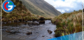 Los páramos de Piura presentes en la Cumbre de la Biodiversidad de Colombia 