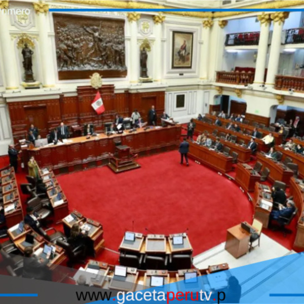 El Congreso se encargará de definir reglamentos para la Cámara de Diputados y el Senado