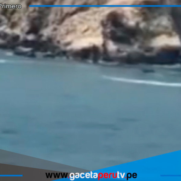 Avioneta se desploma en el mar de San Bartolo: piloto herido