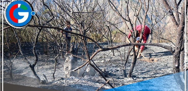 Piura en alerta por incendios forestales 