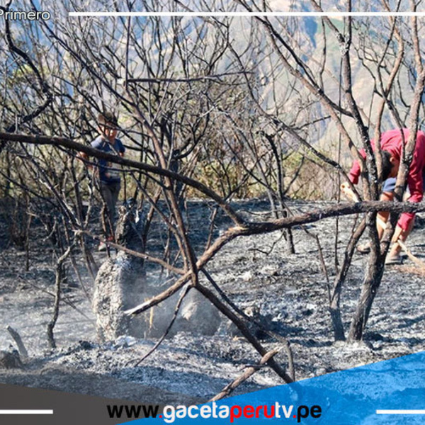 Piura en alerta por incendios forestales 