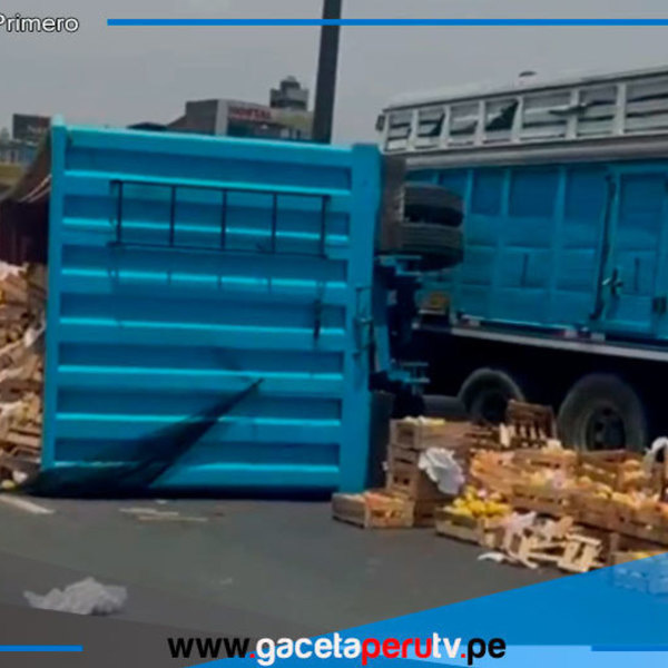 Camión cargado de mangos vuelca en Óvalo Habich San Martín de Porres
