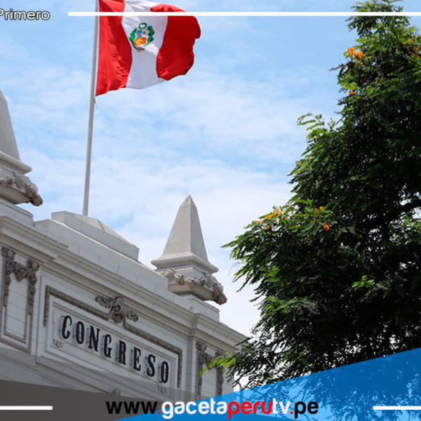 Dictamen sobre unión civil reconoce derecho a patrimonio, pensión y seguro 