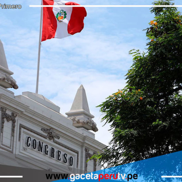 Dictamen sobre unión civil reconoce derecho a patrimonio, pensión y seguro 