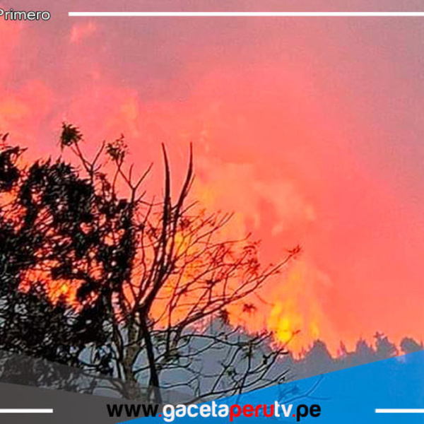 Se han registrado 1,754 incendios forestales en lo que va del año y hay 35 muertos 
