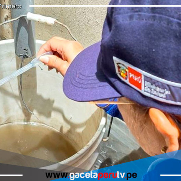 ¿Cómo identificar y eliminar los criaderos de zancudos en el hogar? 