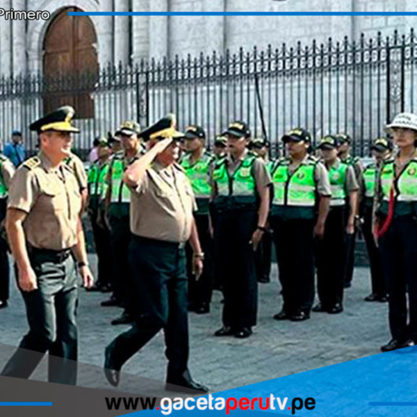 APEC Perú 2024: seguridad policial será permanente por aire y tierra